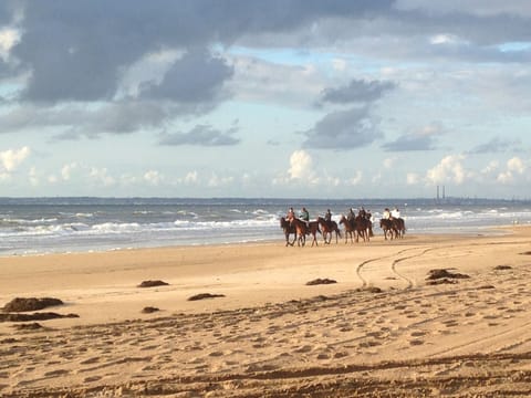 Beach nearby, sun loungers