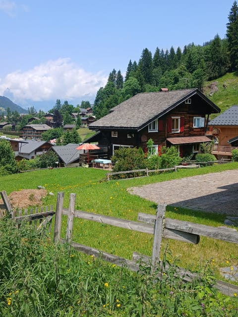 The chalet,next to the nursery slope with uninterrupted views  and large garden