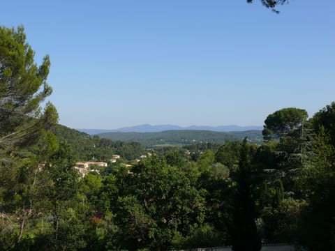 View from the balcony