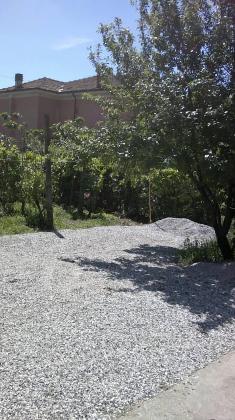 Garden, Park