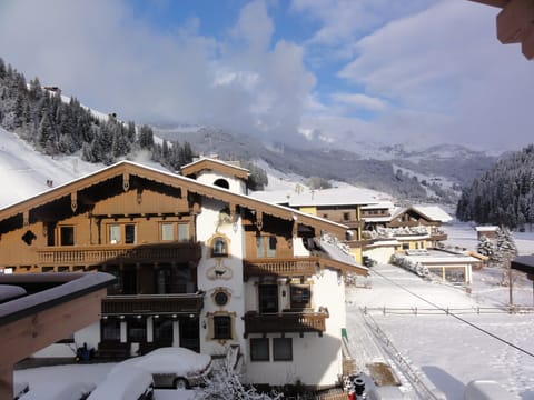 View from Kitchen Window