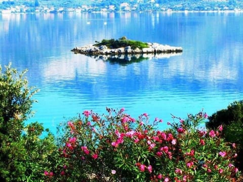 Sea view from balcony