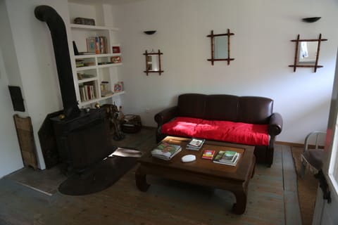 Fireplace, books