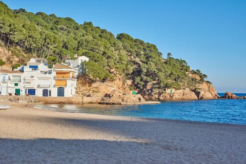 Sun loungers, beach towels