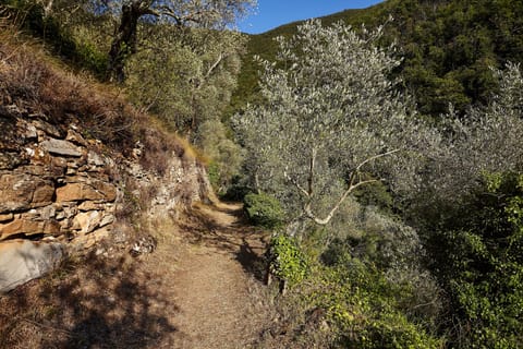 Wonderful country walks nearby