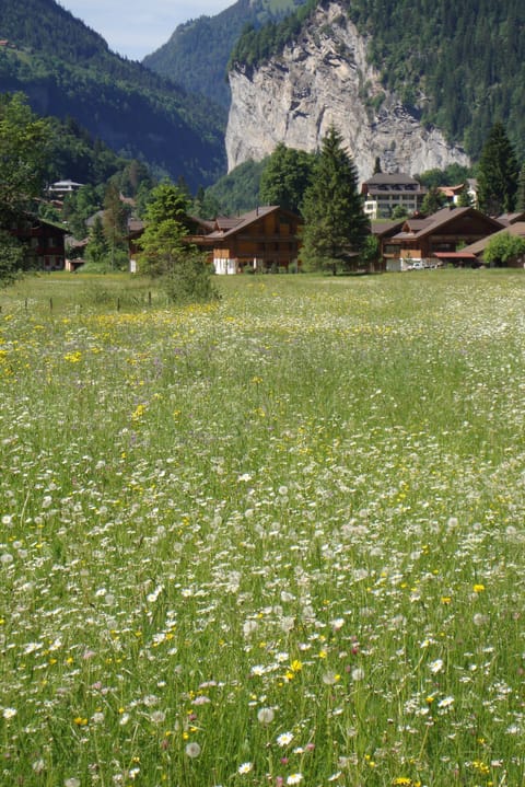 Looking back across the meadows towards the Apartment with Lauterbrunnen behind