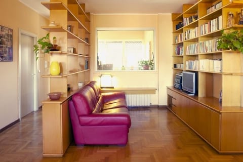 TV, DVD player, books, music library