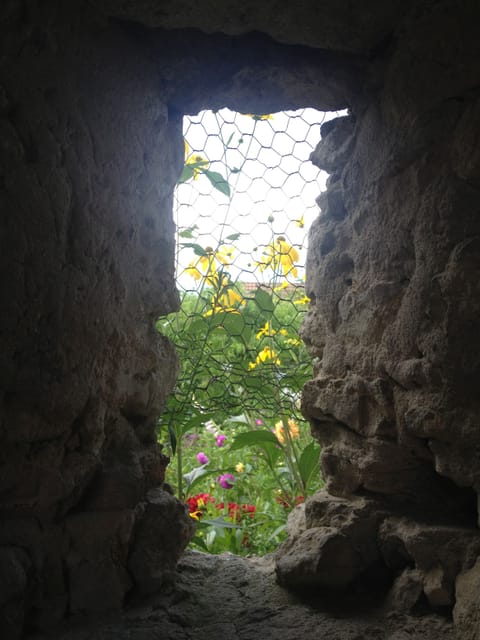 Through the barn 'window'.