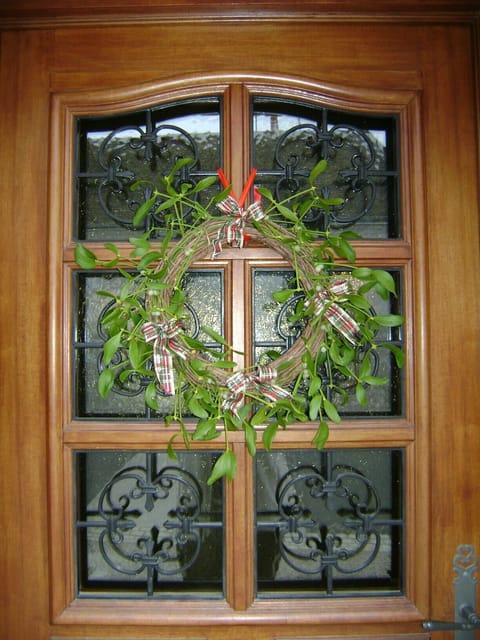 Maison du Gui means Mistletoe Cottage