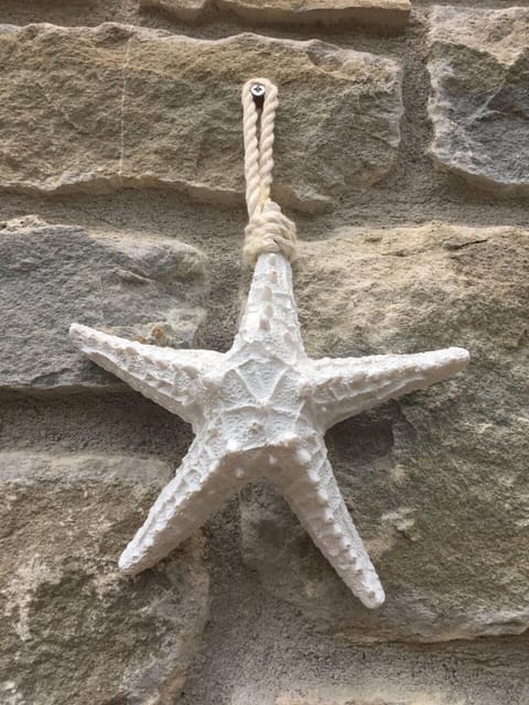 STELLA - Stella marina