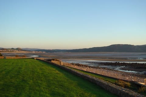 Evening estuary view, low tide.