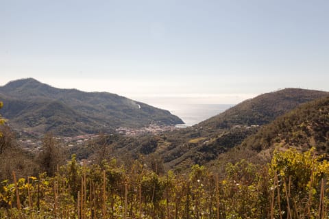 Levanto view from Dosso