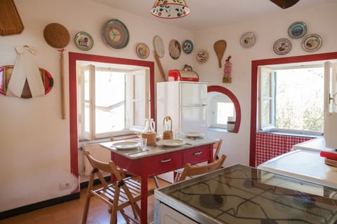 the colourfull kitchen