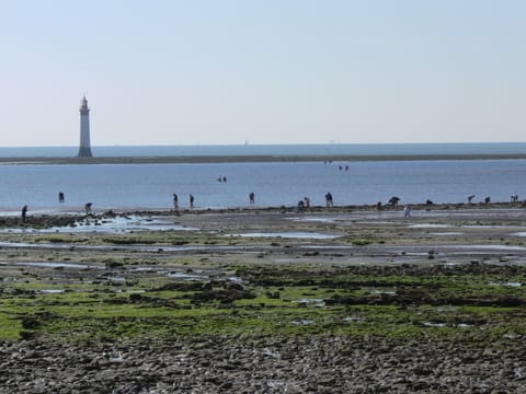 Beach nearby, sun loungers