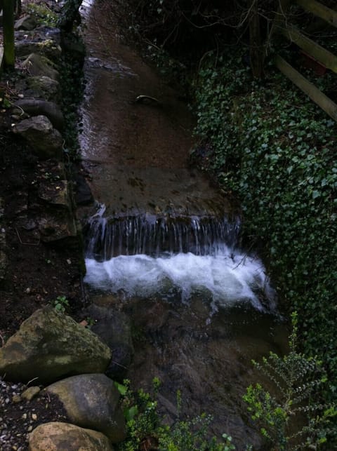 The stream that runs beside the property