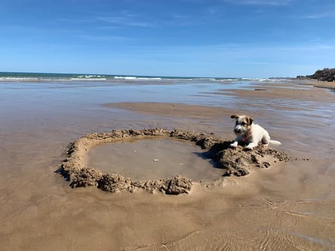 On the beach