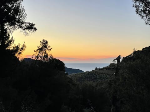 Sunrise from terrace below
