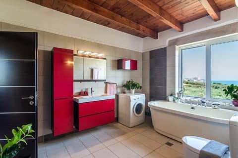 Combined shower/tub, jetted tub, hair dryer, bathrobes