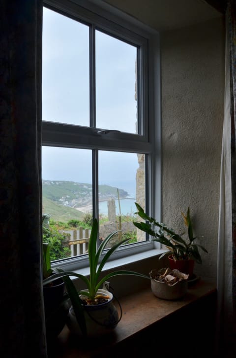 view from dining room