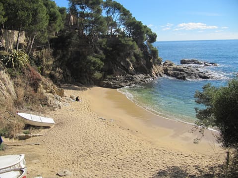 Beach nearby, sun loungers