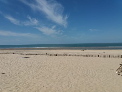 On the beach