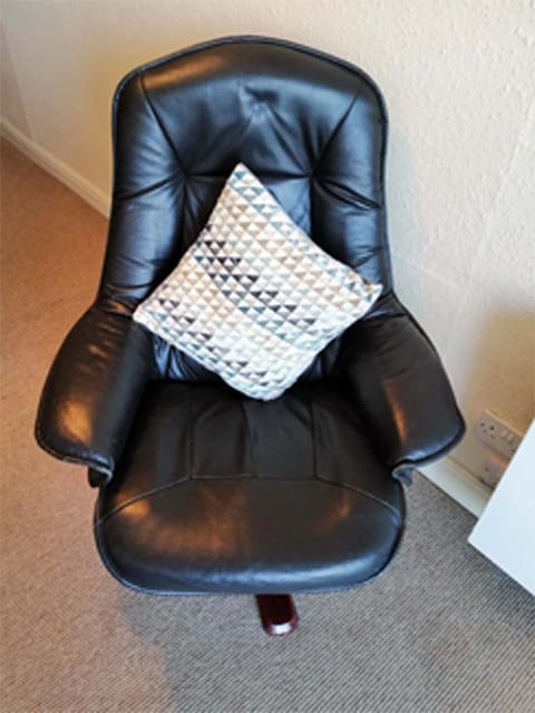 Leather Armchair