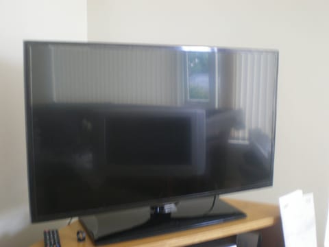 Television