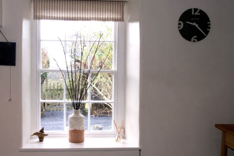 kitchen window where you can sit and watch the birds visiting the bird feeder