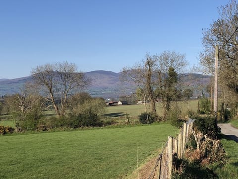 Front of House view to Mt Leinster and across the farming community