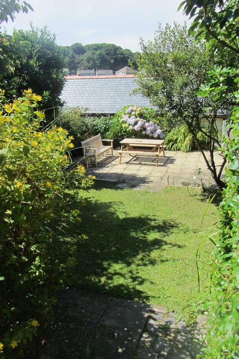 Newhaven back garden