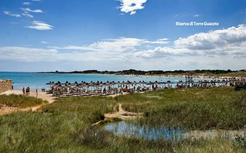 On the beach, sun loungers