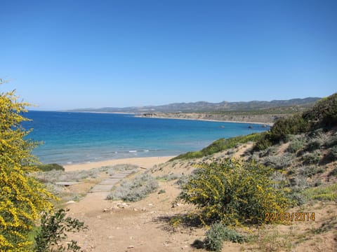 Sun loungers, beach towels