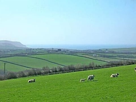 View to Widemouth Bay