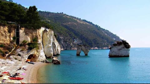 Beach nearby, sun loungers