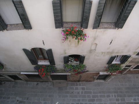 View from the window