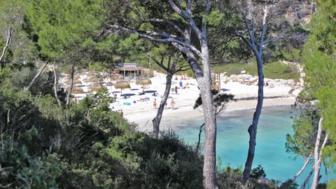 Beach nearby, sun loungers, beach towels