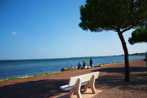 Sun loungers, beach towels