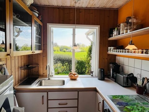 Fridge, oven, stovetop, coffee/tea maker