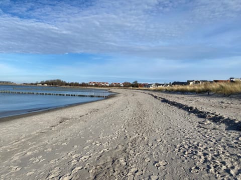 Beach nearby, sun loungers