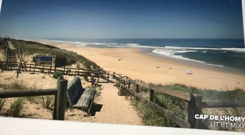 Beach nearby, free beach shuttle, sun loungers, beach towels