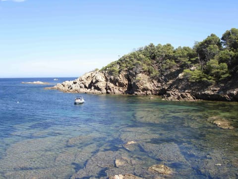 Beach nearby, sun loungers