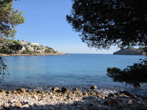 Beach nearby, sun loungers