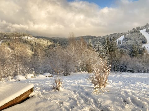 Snow and ski sports