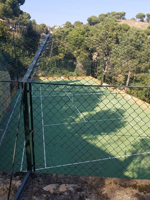 Sport court