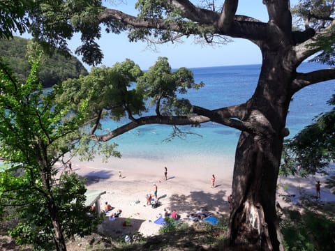 Beach nearby, sun loungers