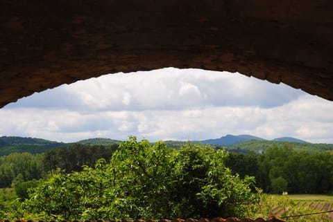 Vault under the house