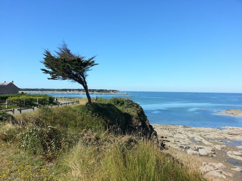 Beach nearby, sun loungers