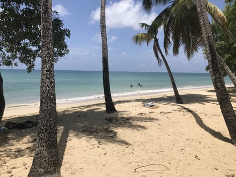 Beach nearby, sun loungers