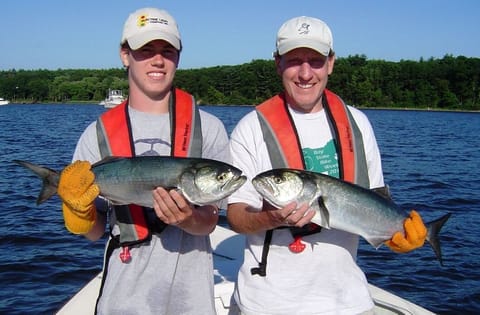 Narragansett Bay is a saltwater angler's paradise, whether fishing off the shore or a charter boat.