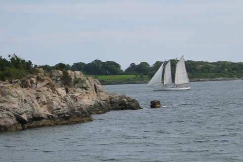 While swimming or sunning at Mackerel cove, watch yachts parade past the Newport (background).